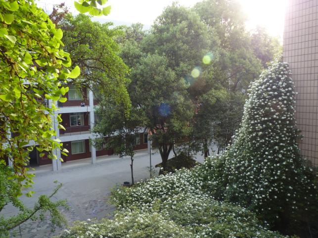 石室聯(lián)合中學(xué)蜀華分校怎么樣？