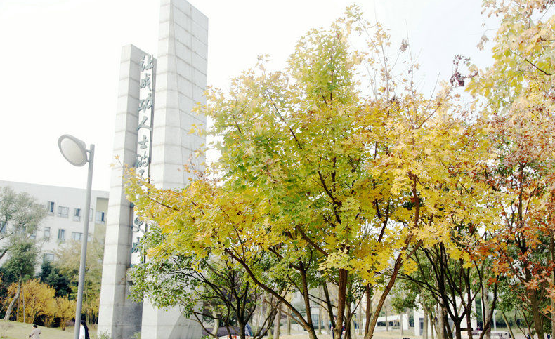 成都實外西區(qū)94人獲第六屆全國中學(xué)生科普科幻作文大賽獎