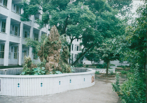 內(nèi)江十三中地址在哪？