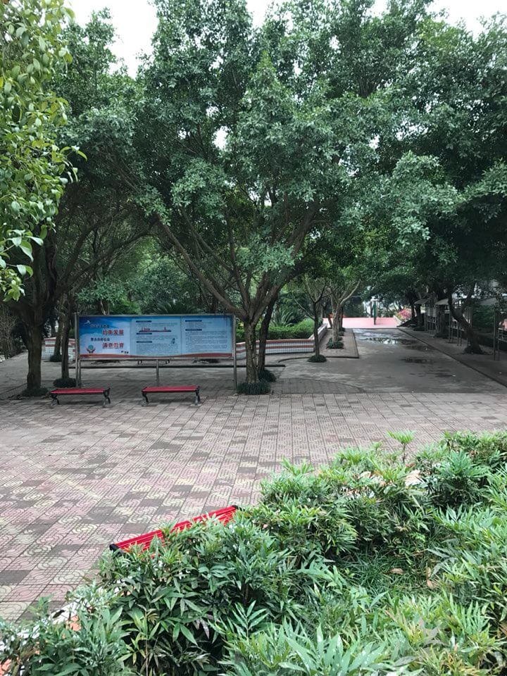 內(nèi)江十二中好嗎？