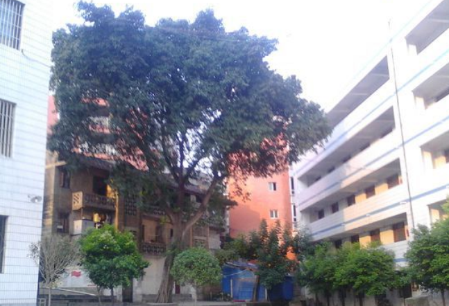 資中縣太平中學地理位置在哪里？