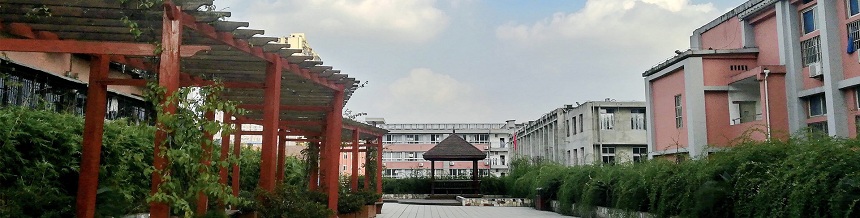 成都市通錦中學(xué)2019年中考分?jǐn)?shù)線是多少？