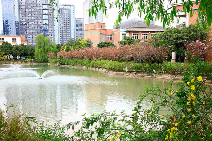 成都美視國際學(xué)校網(wǎng)址是什么？