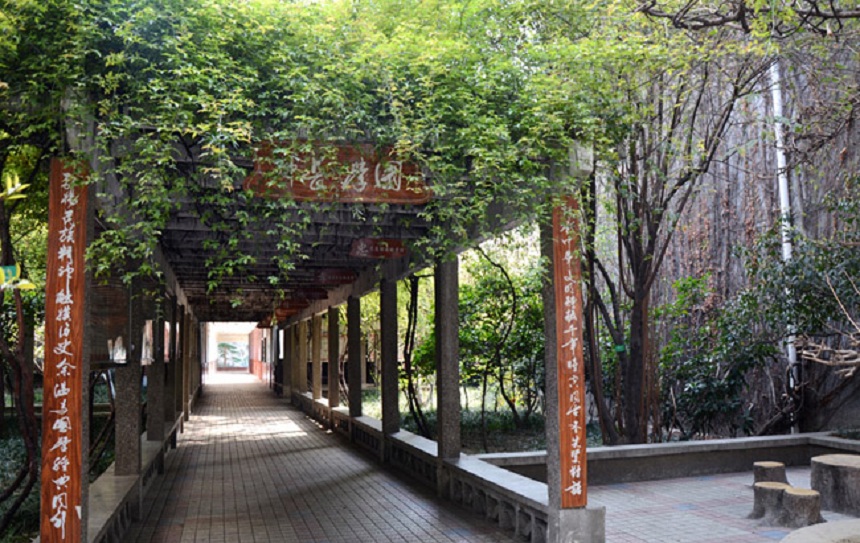 成都玉林中學網(wǎng)址在是什么？