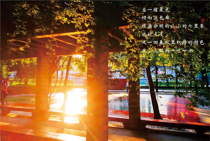 成都七中高新校區(qū)2019年中考分?jǐn)?shù)線是多少？
