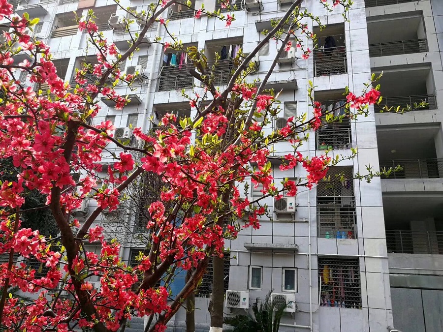 綿陽南山中學(xué)是一所公辦的高中吧？