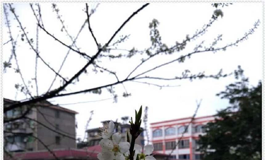 洪雅中學(xué)是一所公辦高中學(xué)嗎？