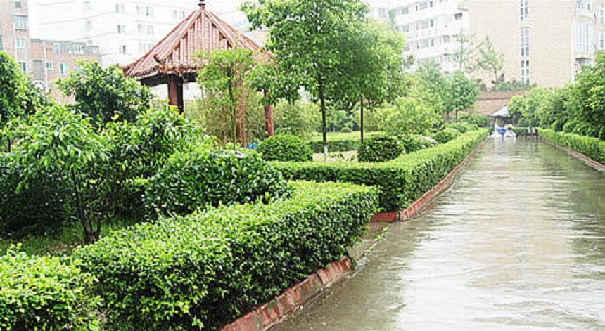 華興中學(xué)環(huán)境好不好？