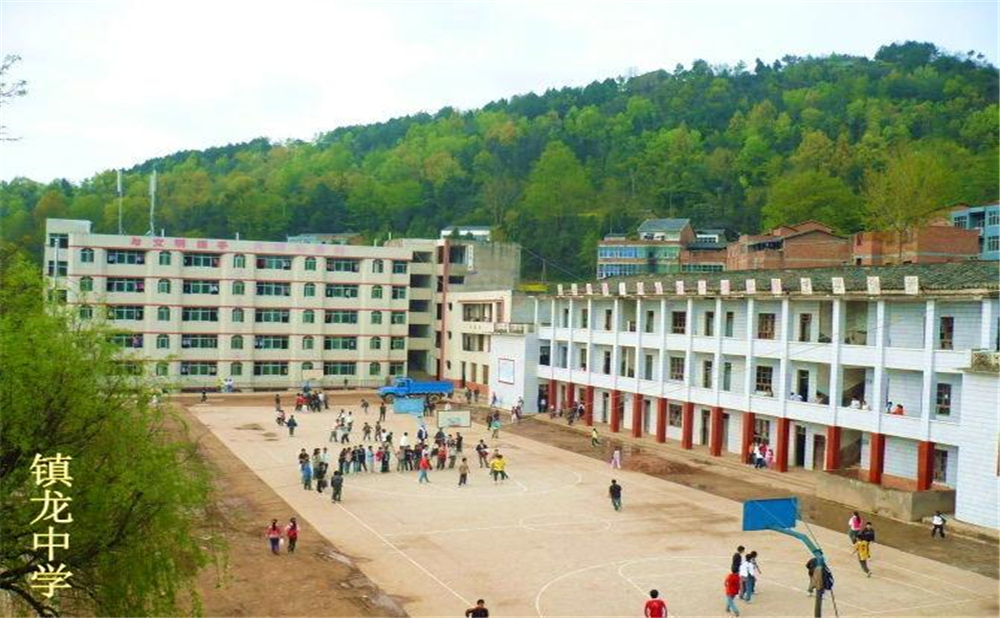 平昌縣鎮(zhèn)龍中學2020年學費多少錢？