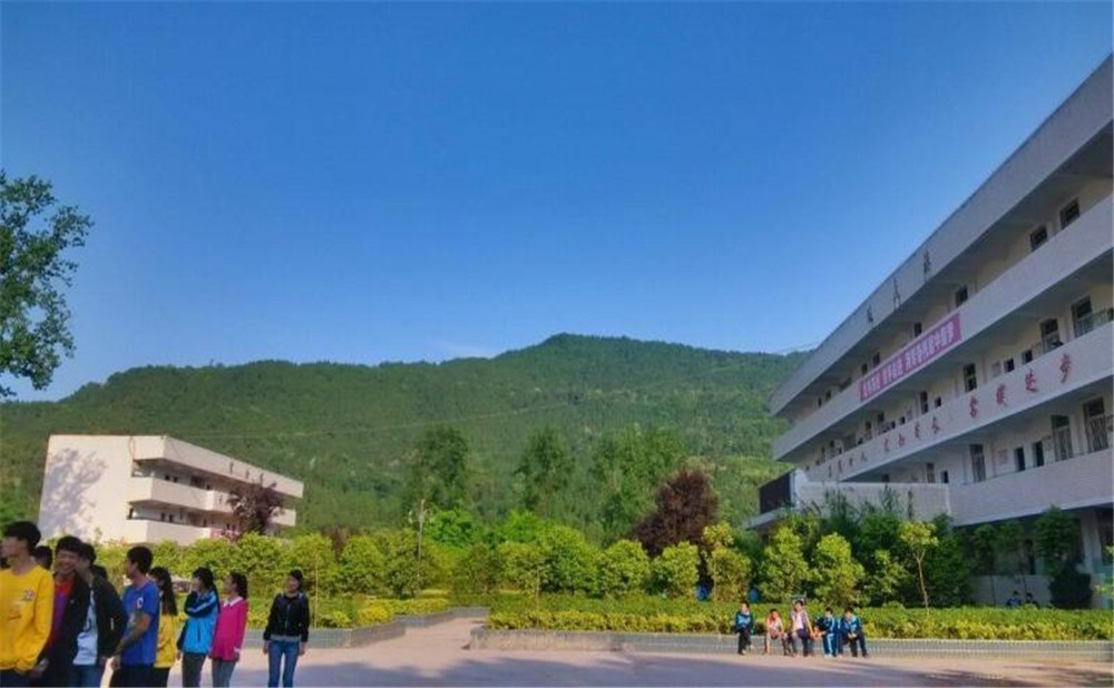 金山中學(xué)2020年學(xué)校招生計(jì)劃在哪兒看？