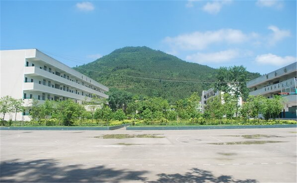 金山中學(xué)學(xué)校環(huán)境如何？