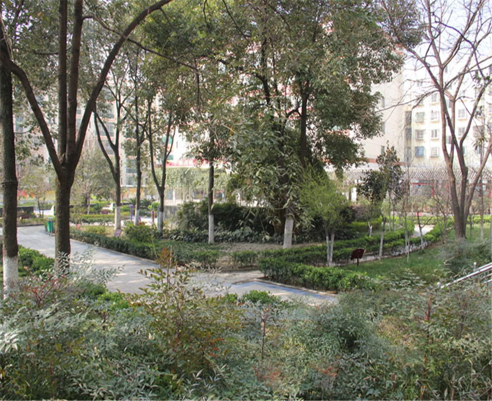 寶輪中學(xué)詳細(xì)地址在什么地方？