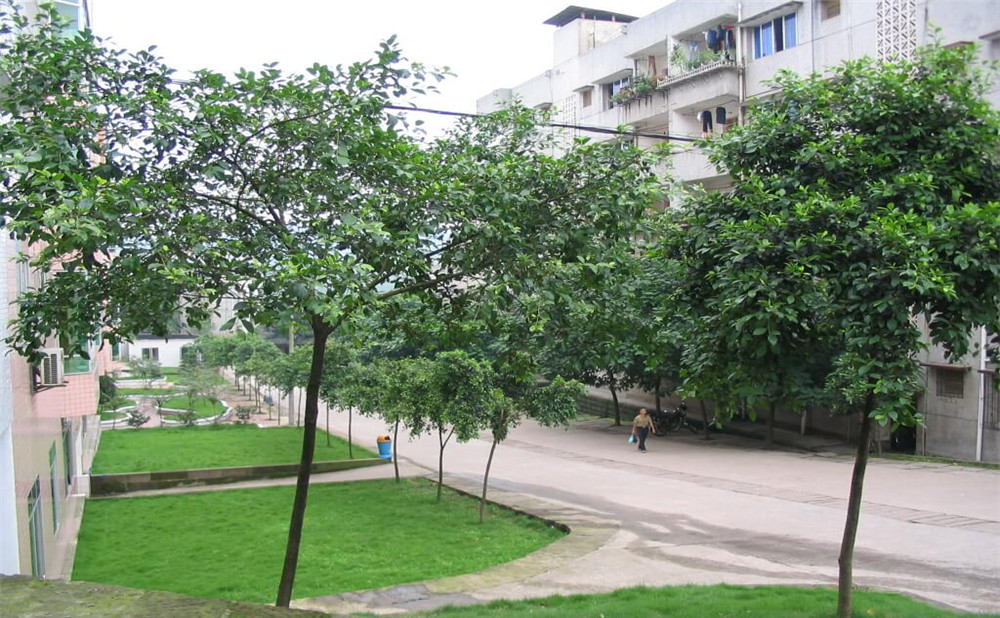 瀘州市納溪區(qū)護國中學(xué)地址在哪里？