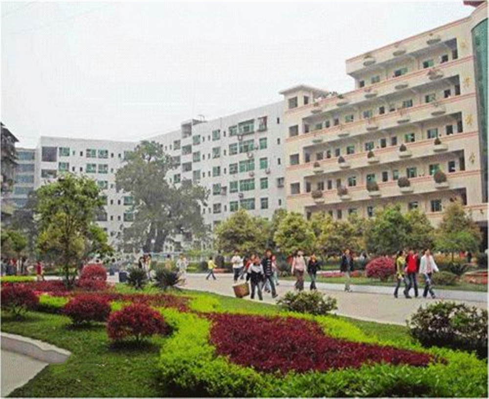 渠縣第二中學(xué)學(xué)校2020年的錄取分?jǐn)?shù)公布了嗎？
