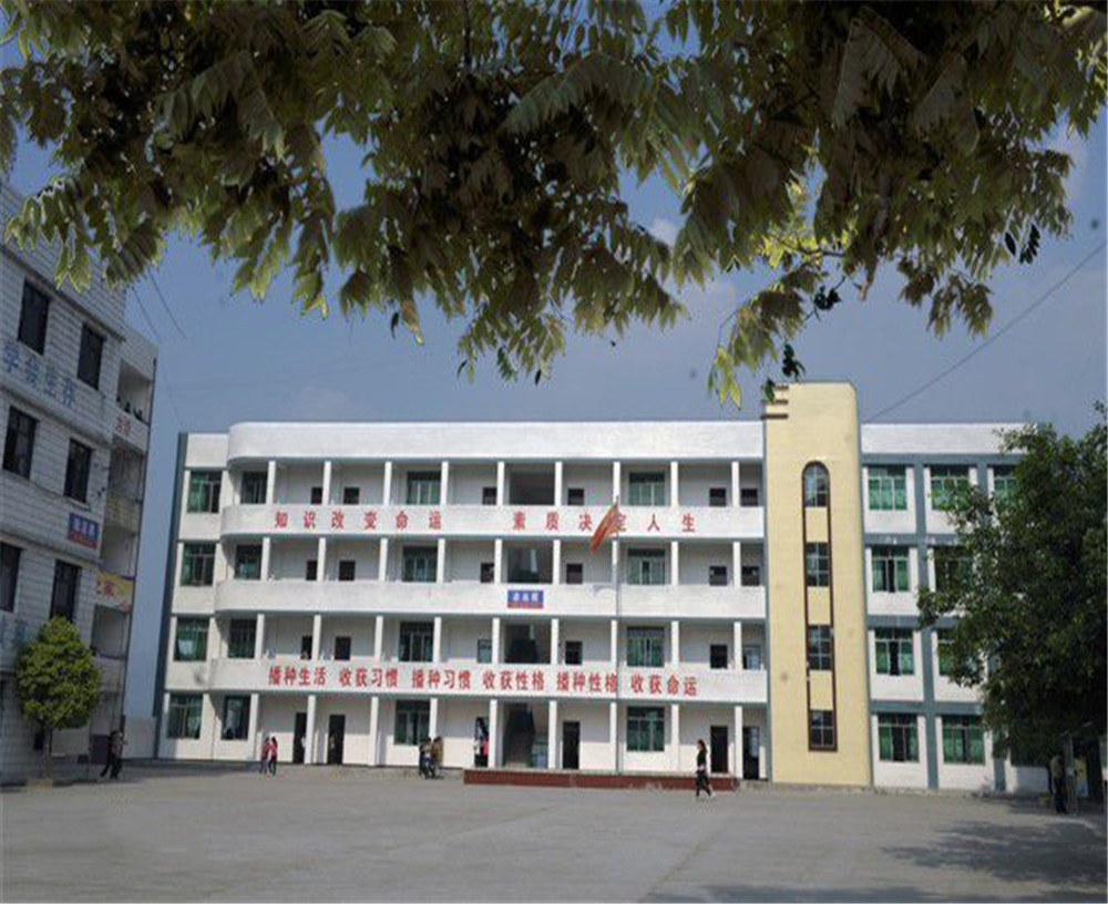 臨巴中學的詳細地址在什么地方？