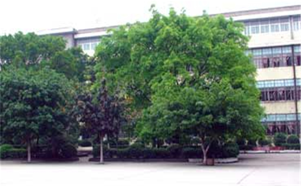 威遠縣自強中學學校環(huán)境怎么樣？