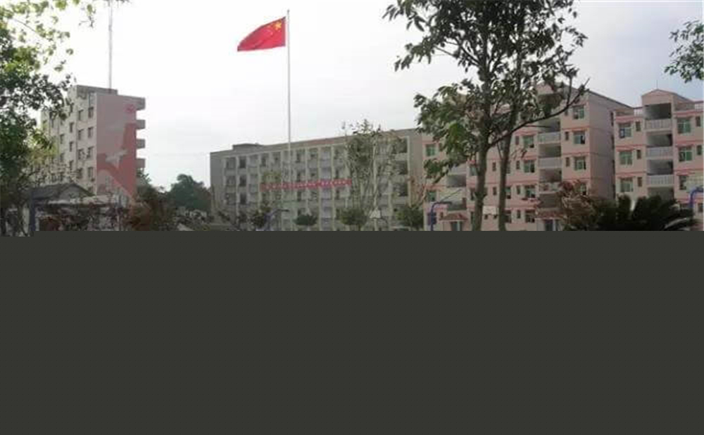 內江市第十一中學學校招辦電話是多少？