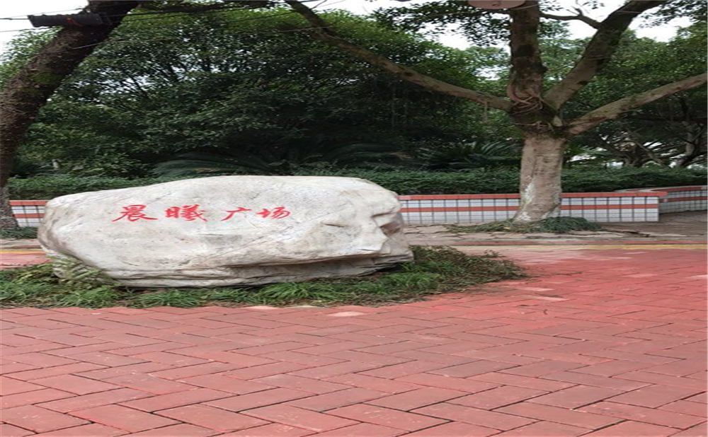 內(nèi)江十二中2020年中考錄取分數(shù)線多少分？
