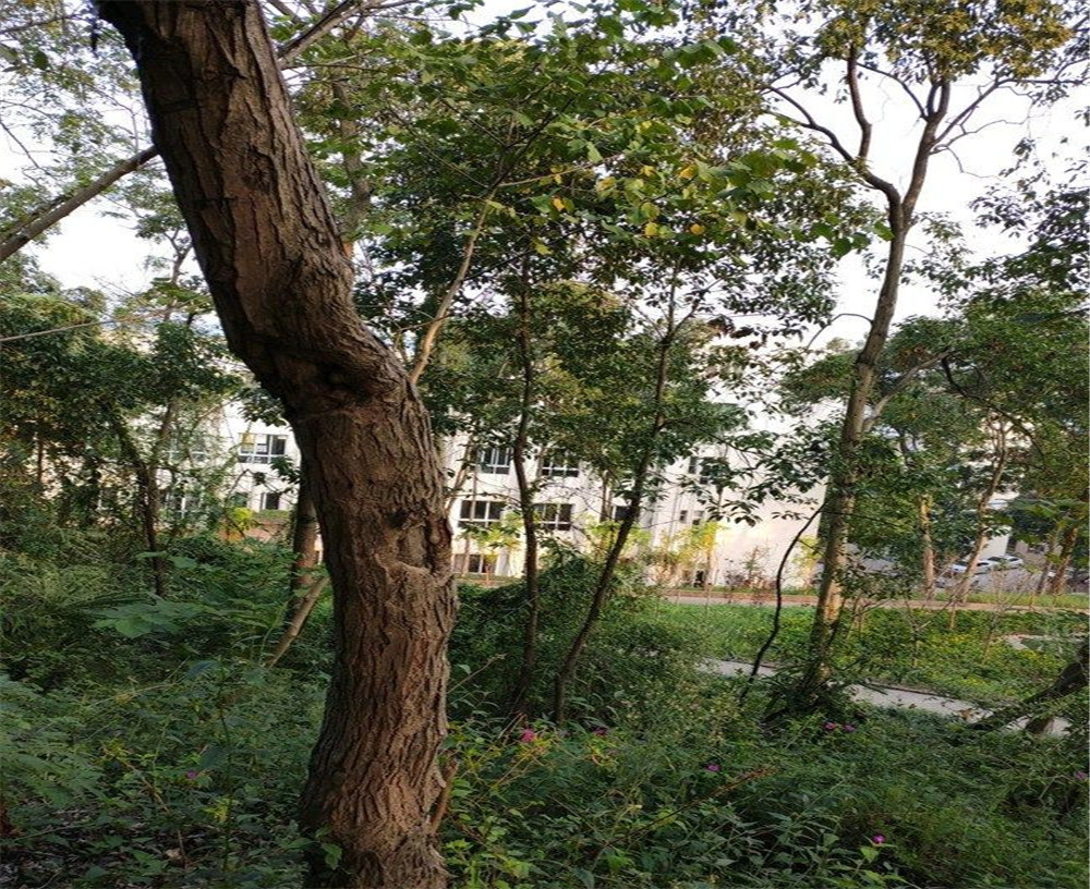 蒲家中學(xué)的詳細地址在什么地方？