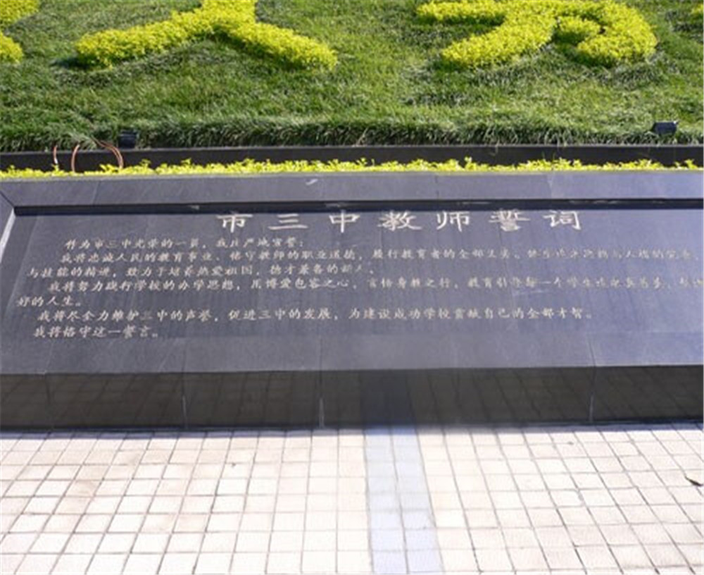 攀枝花市第三高級(jí)中學(xué)校2020年招生計(jì)劃公布了嗎？