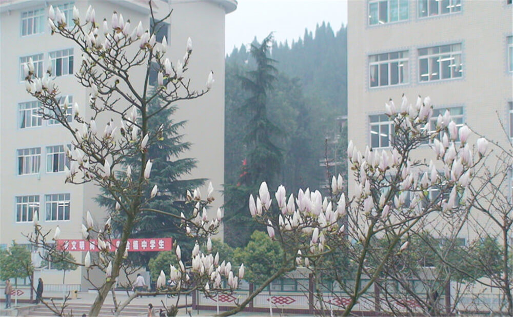建興中學(xué)2020年中考錄取分?jǐn)?shù)線多少分？