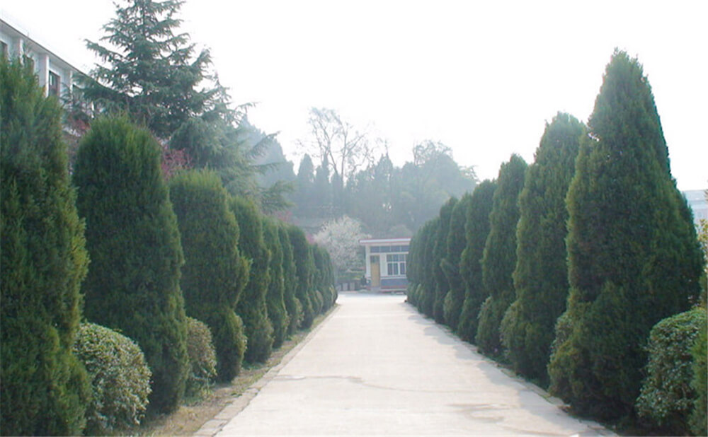 建興中學(xué)學(xué)校環(huán)境怎么樣？