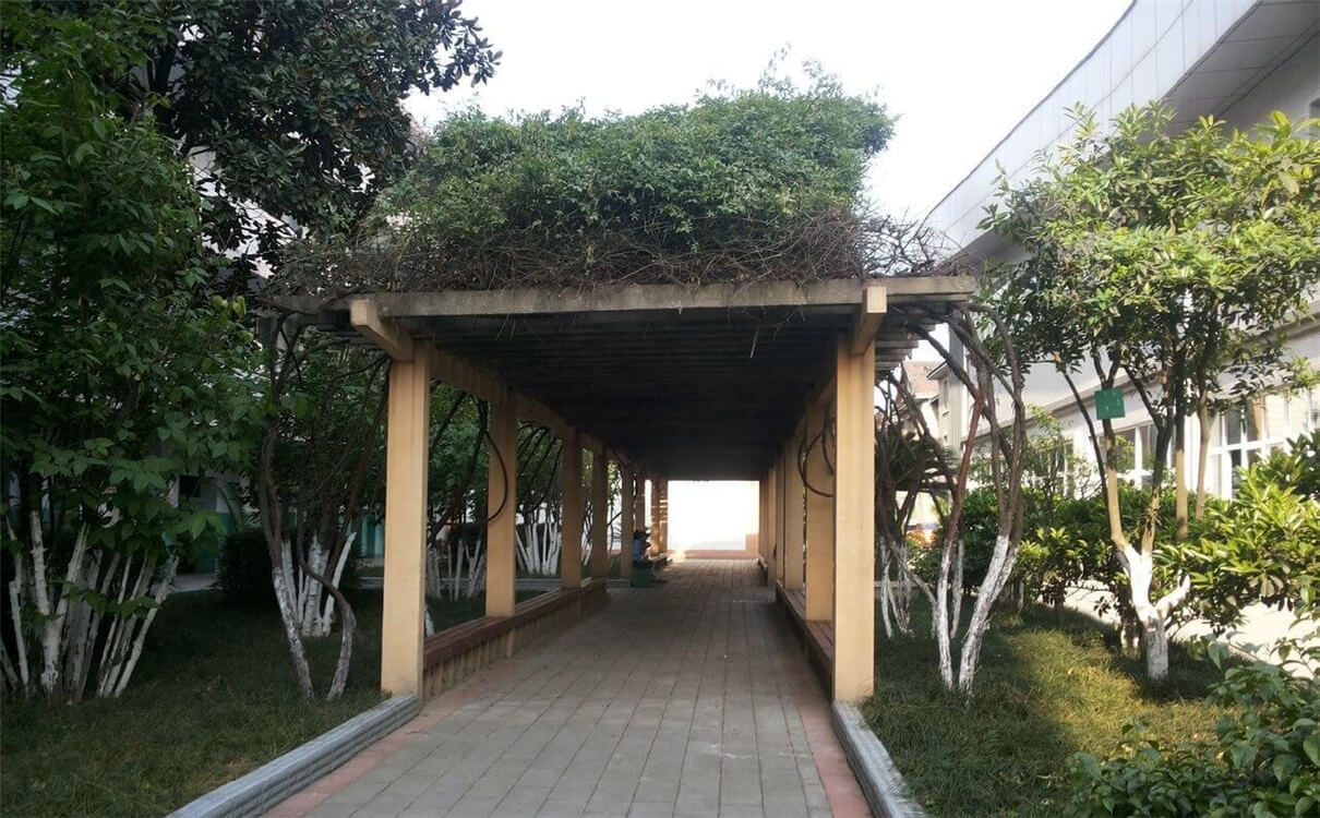 通錦中學(xué)的高中怎么樣？