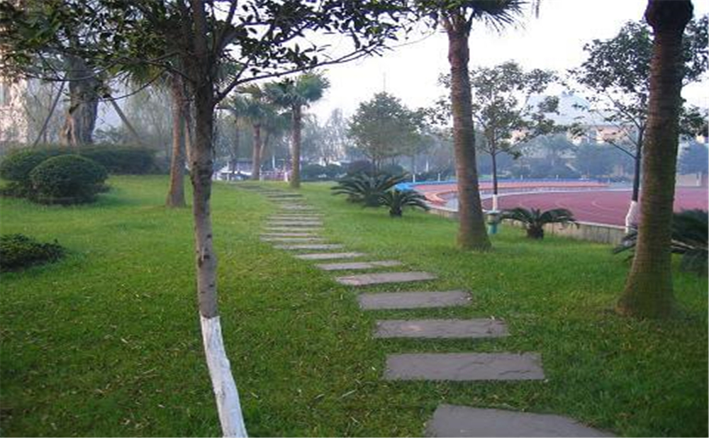 成都石室佳興外國語學(xué)校外招生一年的學(xué)費(fèi)是多少錢？