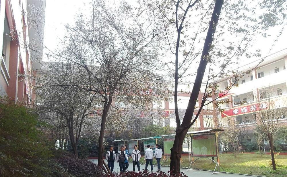 崇慶中學(xué)的去年錄取分?jǐn)?shù)線是多少分？