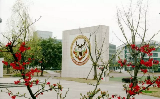 成都實(shí)驗(yàn)外國(guó)語(yǔ)學(xué)校（西區(qū)）2020年的招生標(biāo)準(zhǔn)是什么？