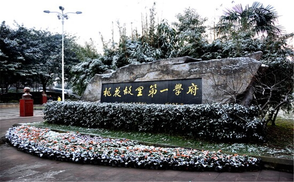 成都市龍泉中學(xué)的升學(xué)率是多少？