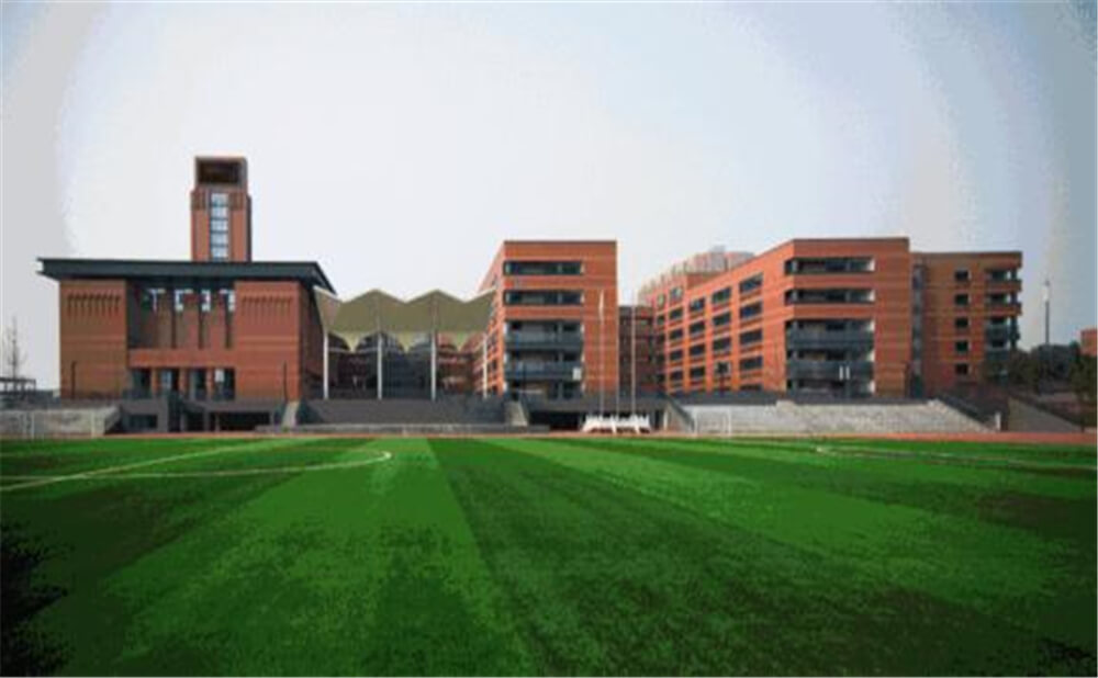成都實外新都五龍山學校的學費是多少錢？