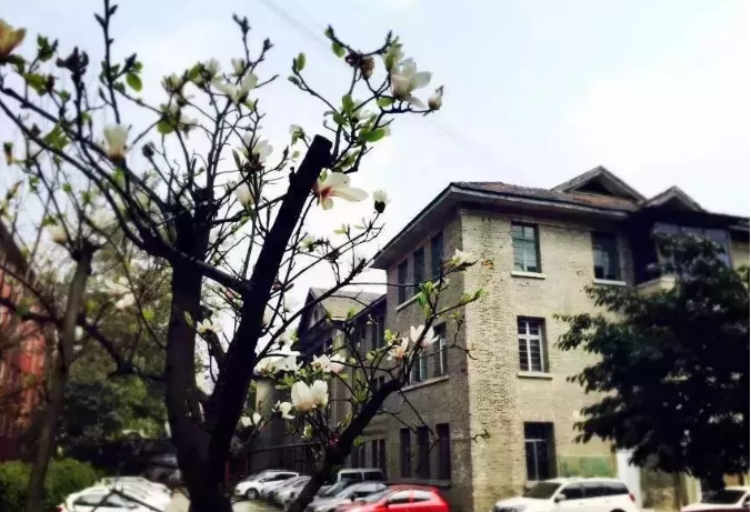 通錦中學(xué)的宿舍怎么樣？