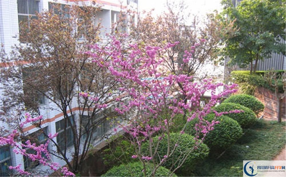 三星中學(xué)初升高的分?jǐn)?shù)線是多少？