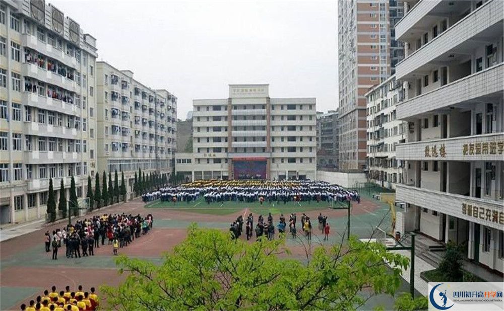 陽安中學(xué)的老師好不好？