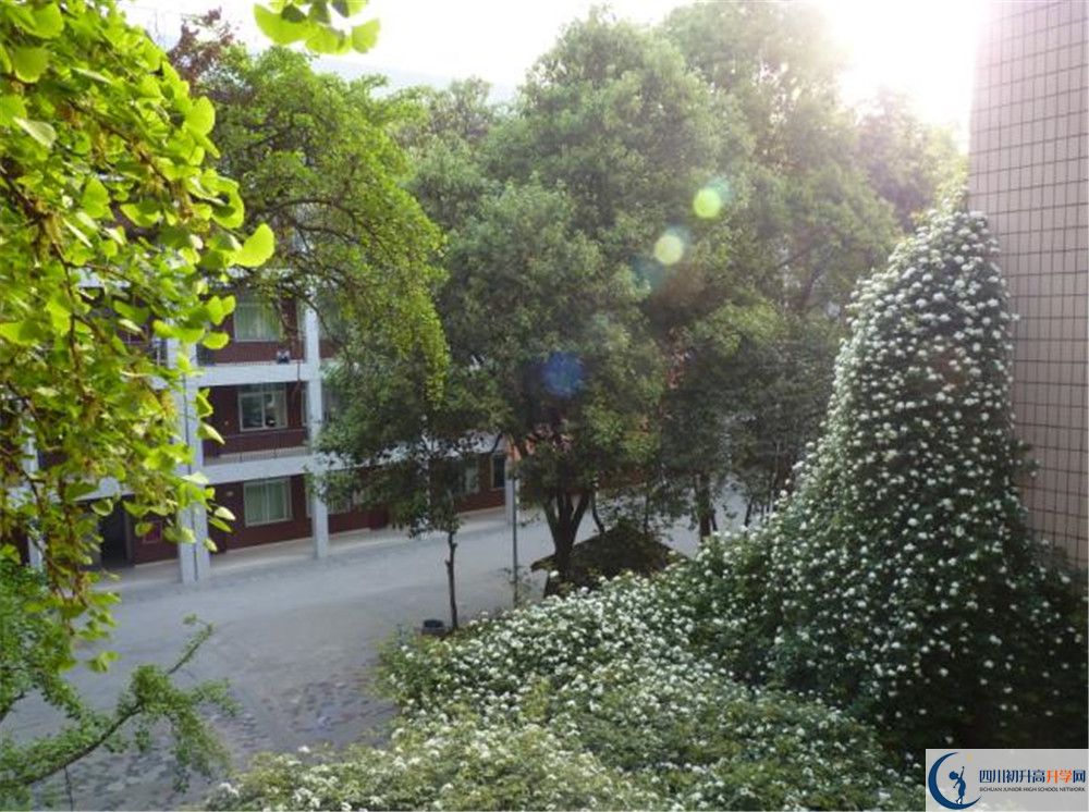 近幾年成都市石室聯(lián)中蜀華分校高中錄取的分?jǐn)?shù)線(xiàn)是多少?