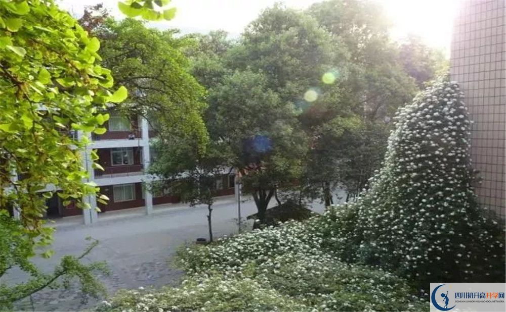 石室聯(lián)合中學蜀華分校2020年高一入學考試時間是多久？