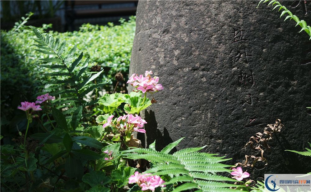石室聯(lián)合中學(xué)蜀華分校住宿費(fèi)用是多少？