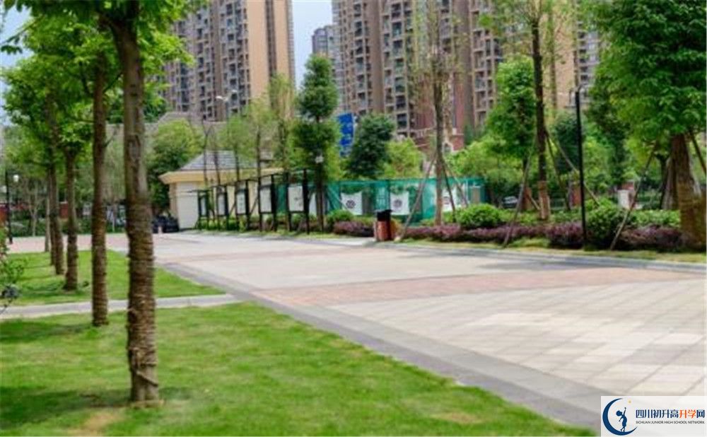 成都教科院附屬學(xué)校2020年清華北大錄取學(xué)生有多少？