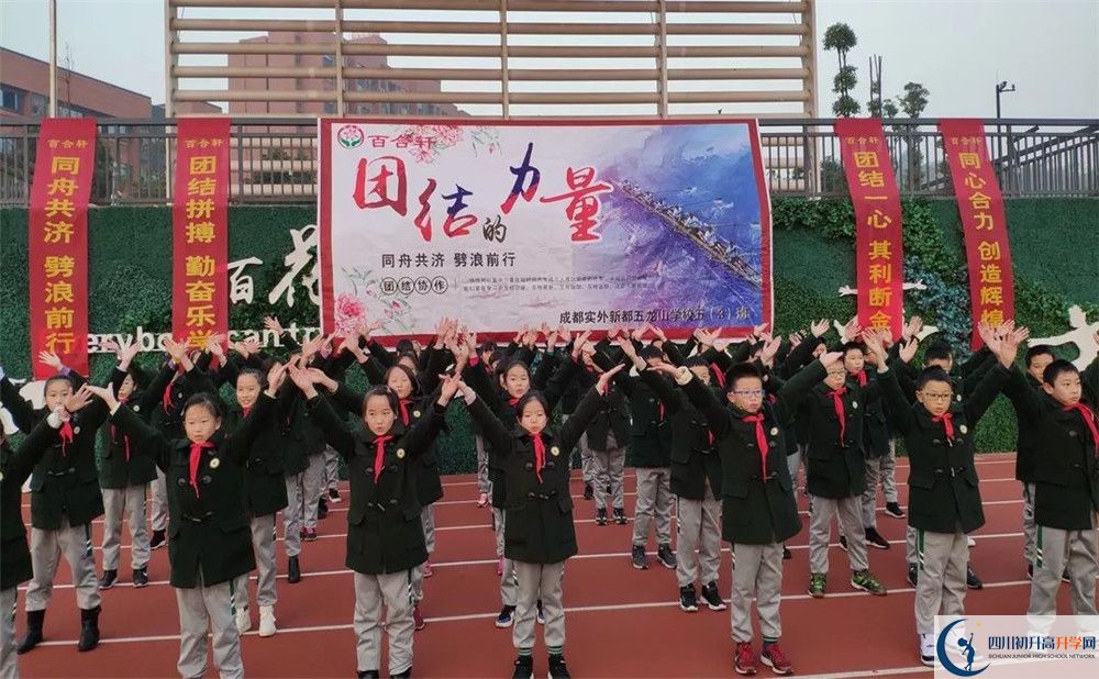 成都實外新都五龍山學校2020清華北大錄取學生是多少？