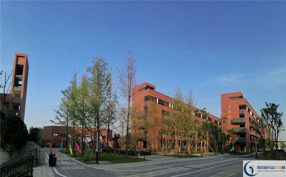 電子科技大學實驗中學2020年清華北大錄取學生有多少？