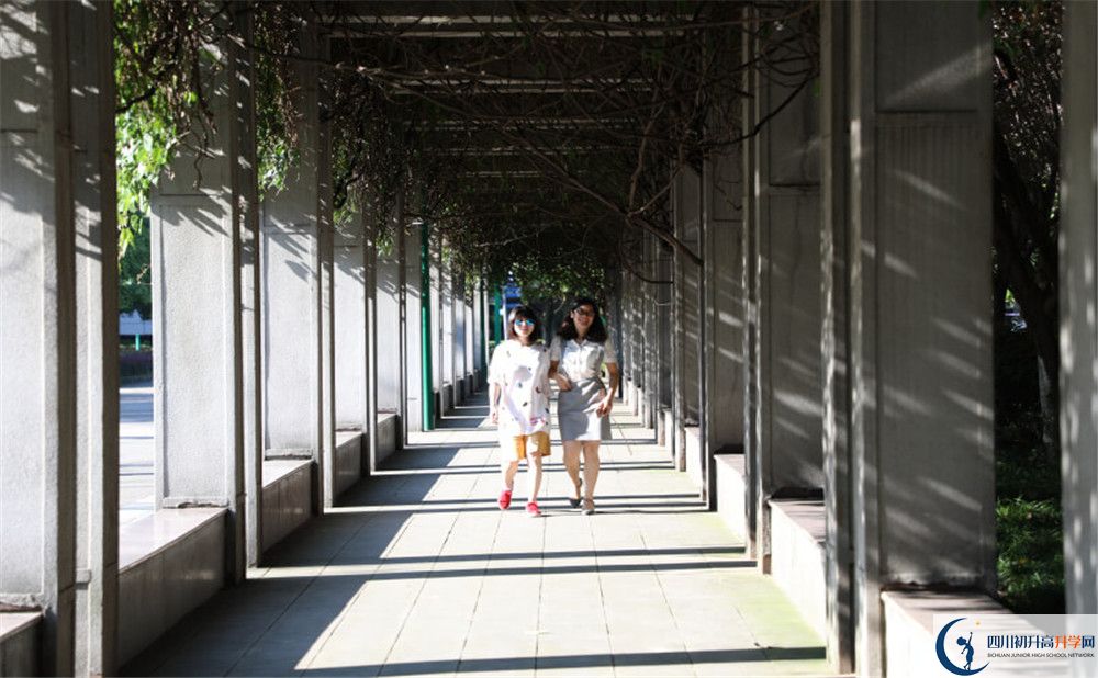 成都市龍泉中學2020年清華北大人數(shù)是多少？