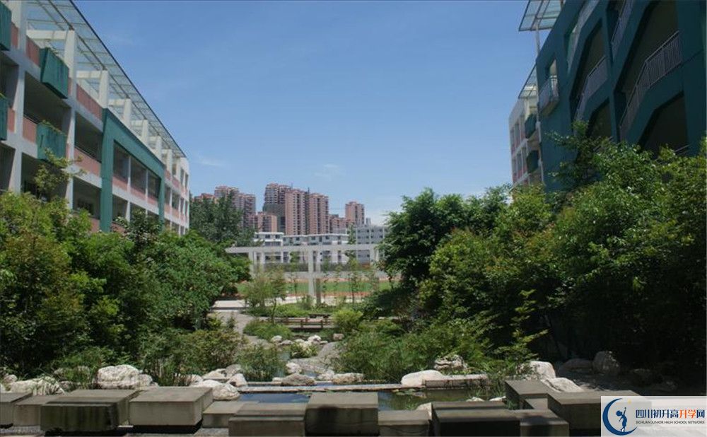 四川師范大學(xué)實(shí)驗(yàn)外國語學(xué)校2020年保送清華北大的人數(shù)？