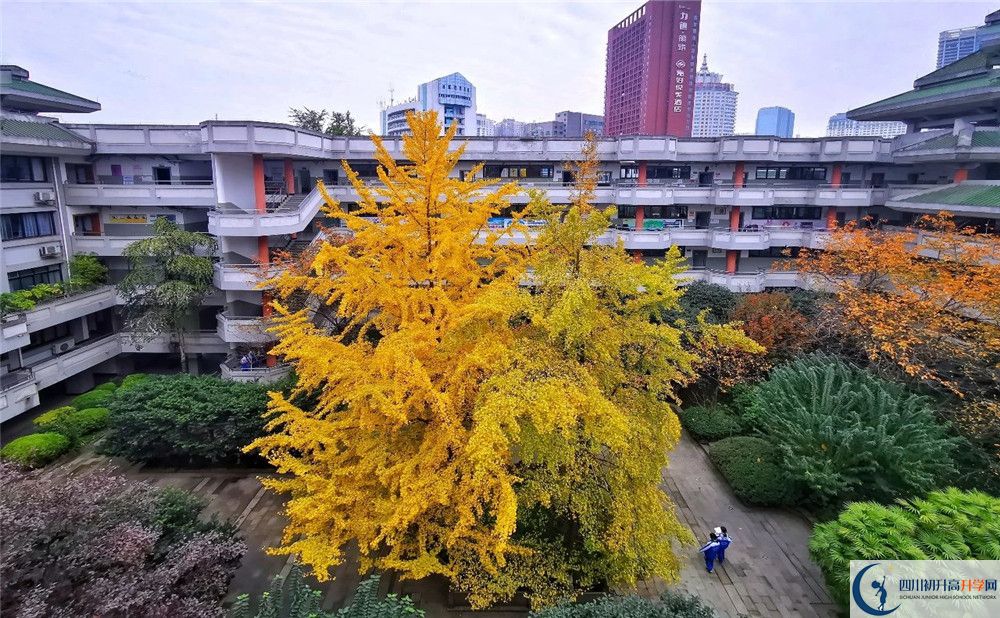 成都石室中學自主招生中考網(wǎng)上怎么報名？