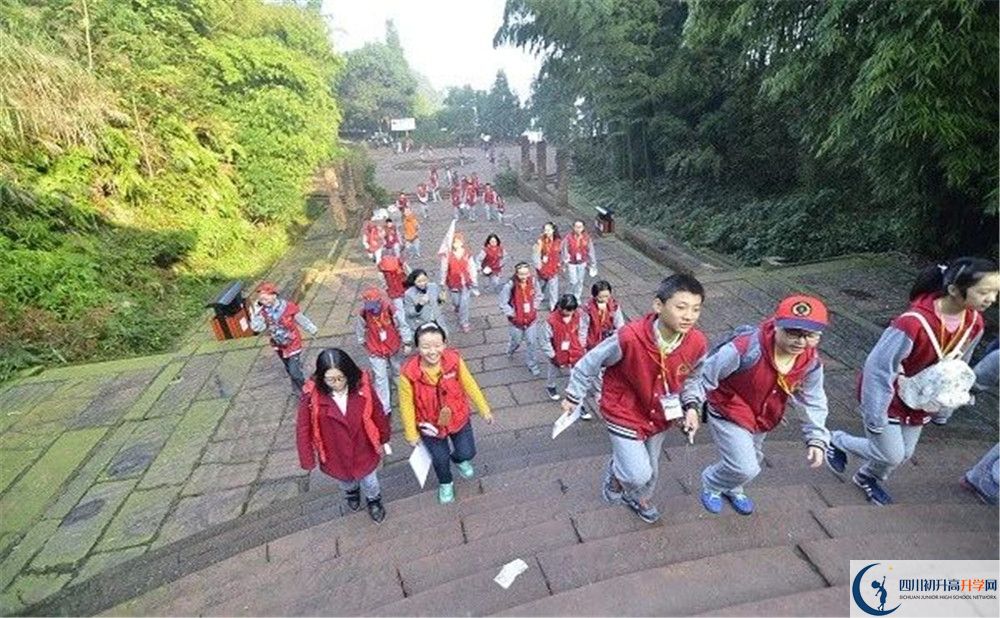 成都市泡桐樹中學(xué)2020年保送清華北大的人數(shù)是多少？
