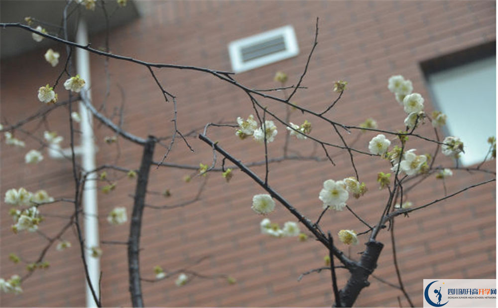 新格林藝術(shù)高級中學(xué)校的高中住宿怎么樣？