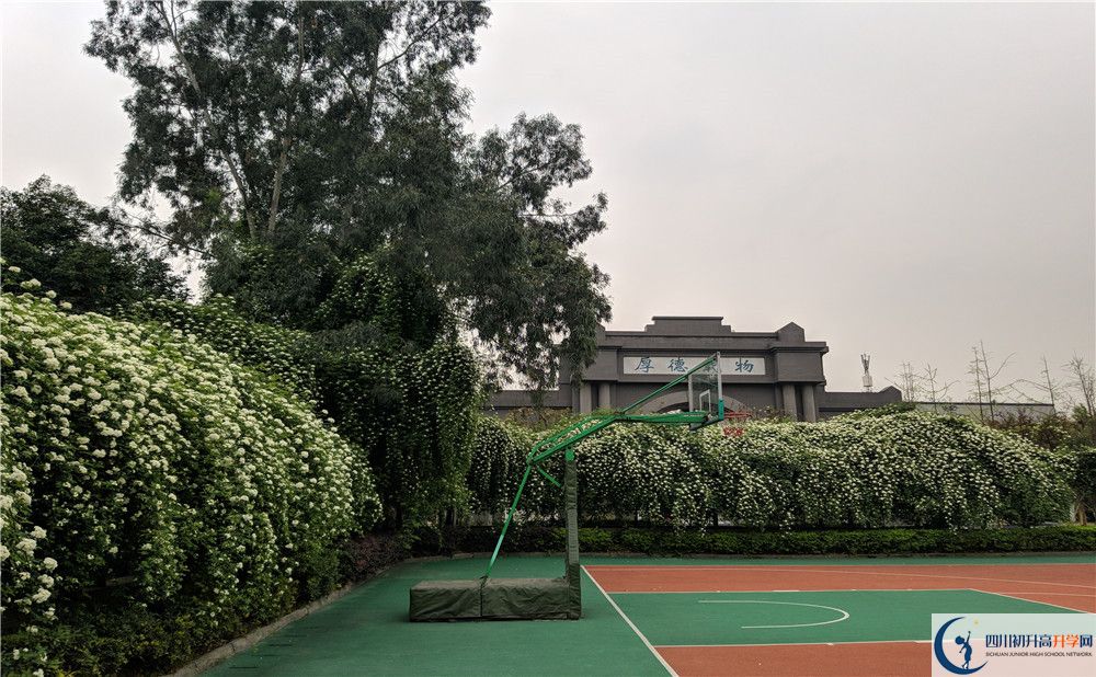 四川師范大學(xué)實(shí)驗(yàn)外國(guó)語(yǔ)學(xué)校2020年全國(guó)排名？