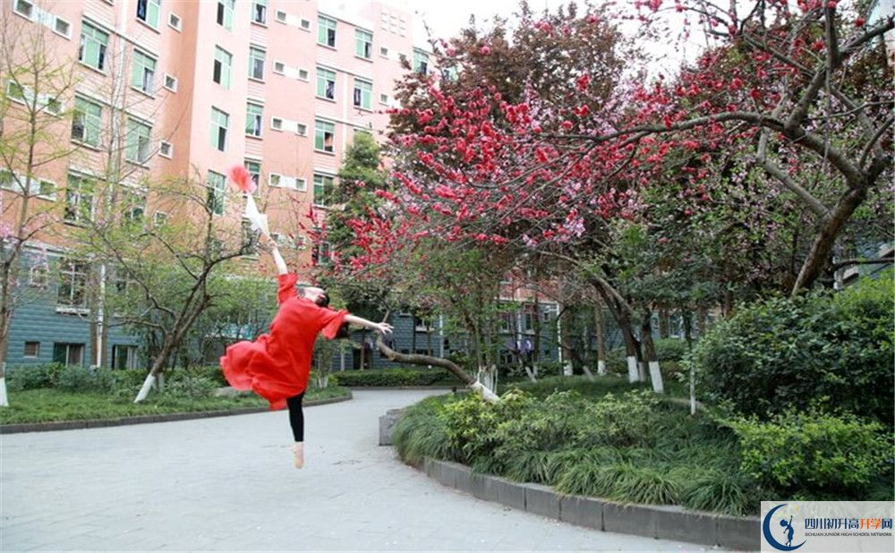 簡(jiǎn)陽(yáng)中學(xué)2020年保送清華北大的人數(shù)是多少？