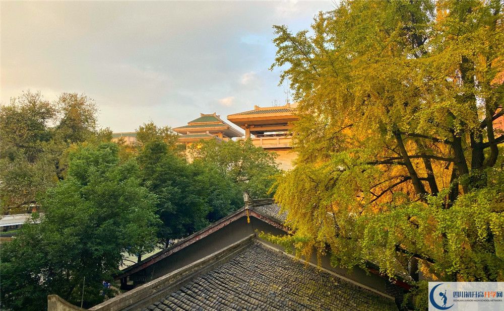 成都石室中學位置在哪里？