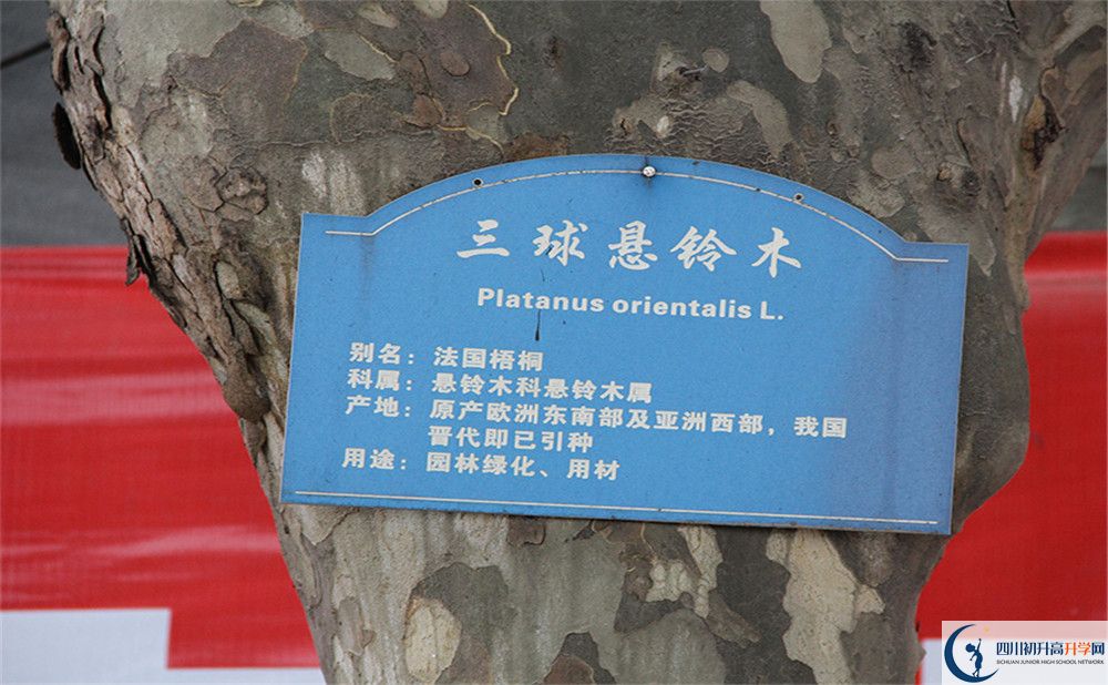 2020成都市第四十九中學(xué)高考重點(diǎn)大學(xué)升學(xué)率高嗎？